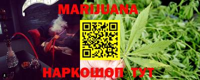 сатива Обь