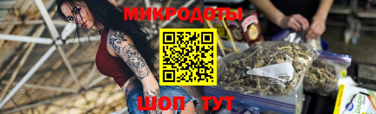 Тольятти  хочу   Вход с VPN  Псилоцибиновые грибы Cubensis 