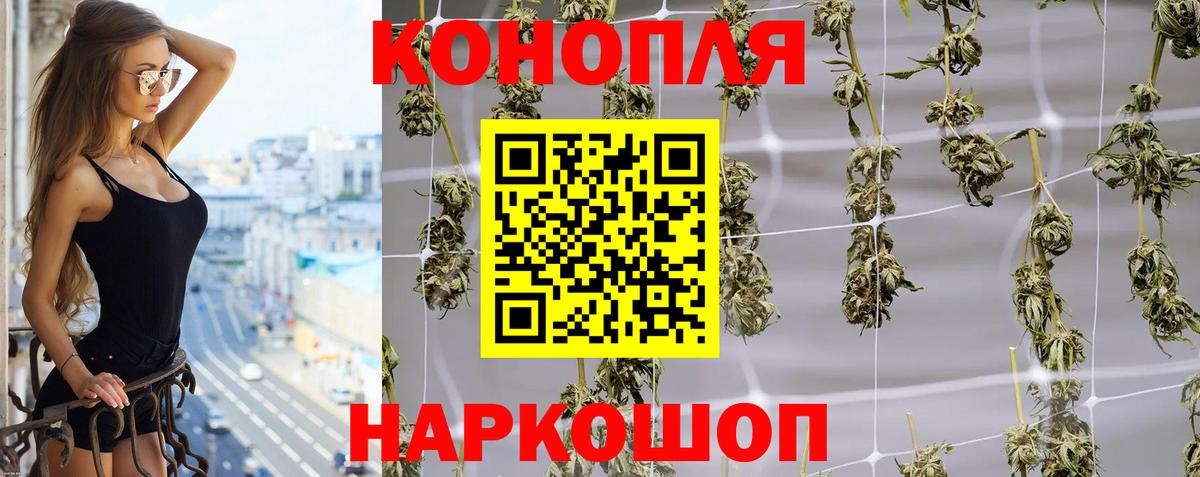 Тольятти  Бошки Шишки OG Kush  Вход с VPN  Канабис MAZAR  Каннабис гибрид 